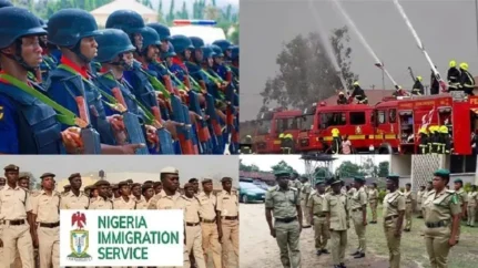 CDCFIB shortlist announcement 2025 Civil Defence, Immigration, Fire, Correctional